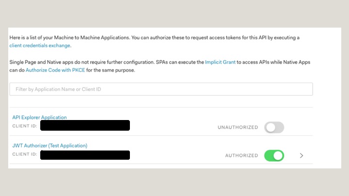 A screenshot showing the authorization page for the JWT Authorizer (Test Application).