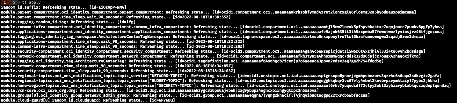 A screenshot of the resulting code from running the Terraform commands.