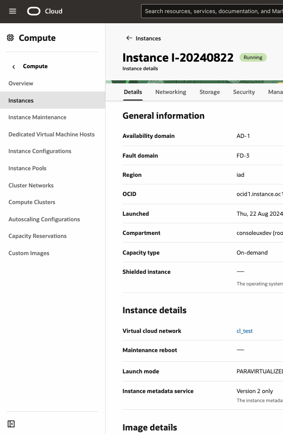 Viewing an instance in the Console.