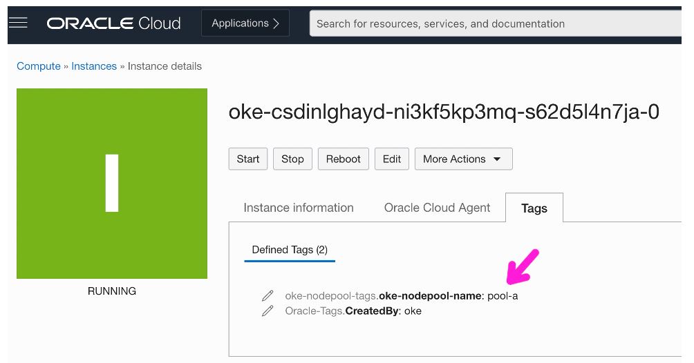 A screenshot of the Instance details page on the Tags tab.