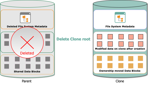 Deleting the root of the clone.