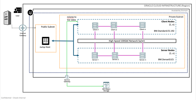OCI Deployment Architecture for DDN Infinia