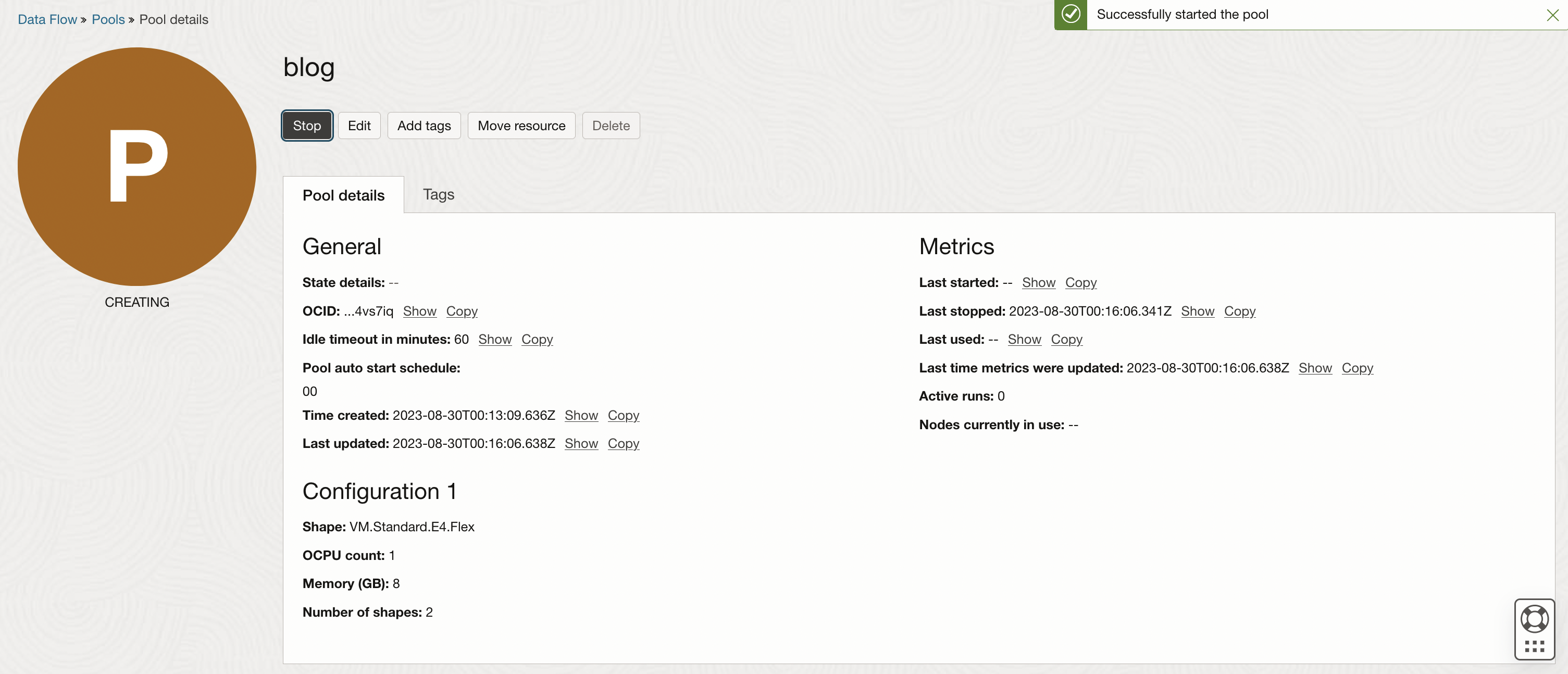A screenshot of the details for the running Data Flow pool.