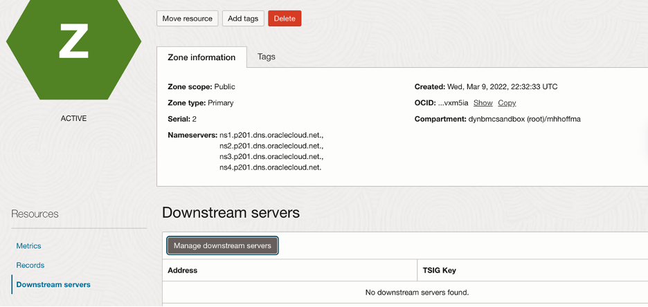 A screenshot of the Details page in the Oracle Cloud Console showing the Zone information and downstream servers.