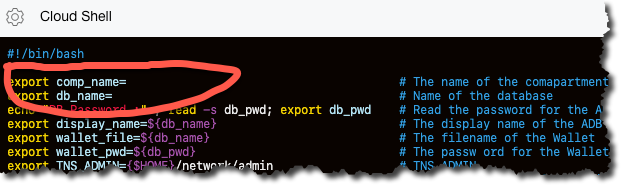Screenshot that shows the comp_name and db_name variables in the Cloud Shell.