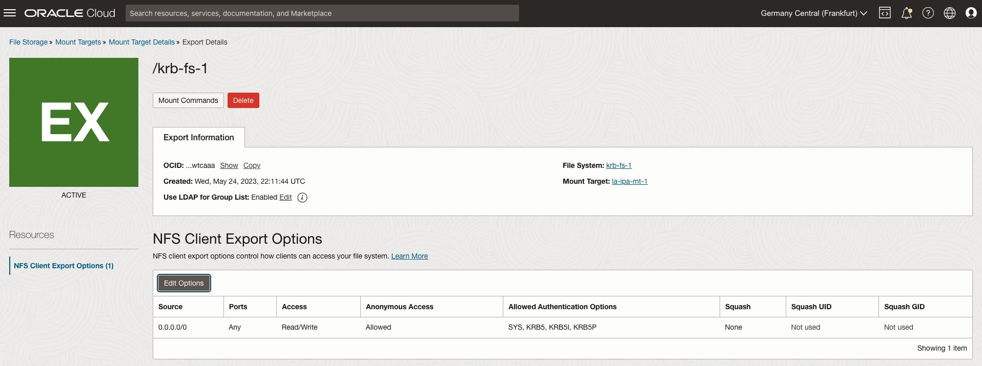A screenshot of the NFS Client Export Options section on the Export Details page.