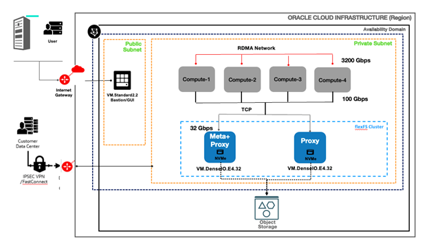 flexFS-dedicated on OCI