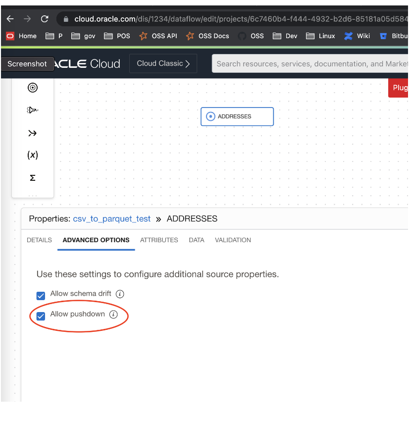 A screenshot of the advanced options tab with the allow pushdown option circled in red.