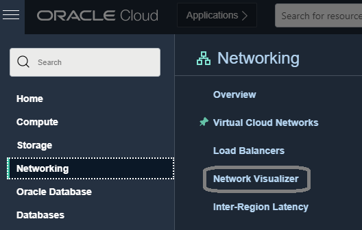 A screenshot of the Console menu, showing Networking and Network Visualizer outlined in white and gray.