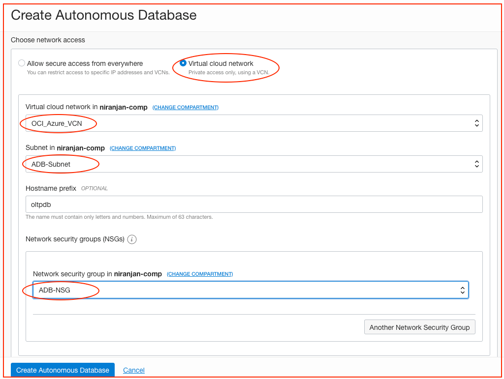 A screenshot that shows the Create Autonomous Database page with network access, VCN, subnet, and network security group values entered.