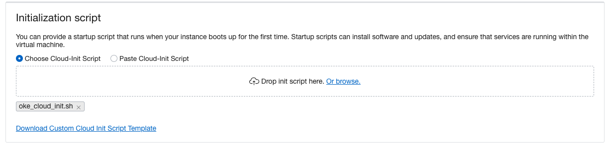 A screenshot of the Initialization scription page showing the uploaded cloud-init script.
