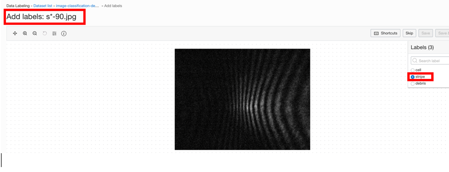 A screenshot of the Add Labels page in the Console, showing how to the details of a labeled image