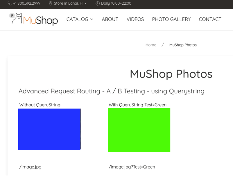 A graphic depicting the example A/B testing results for MuShop querystring testing.