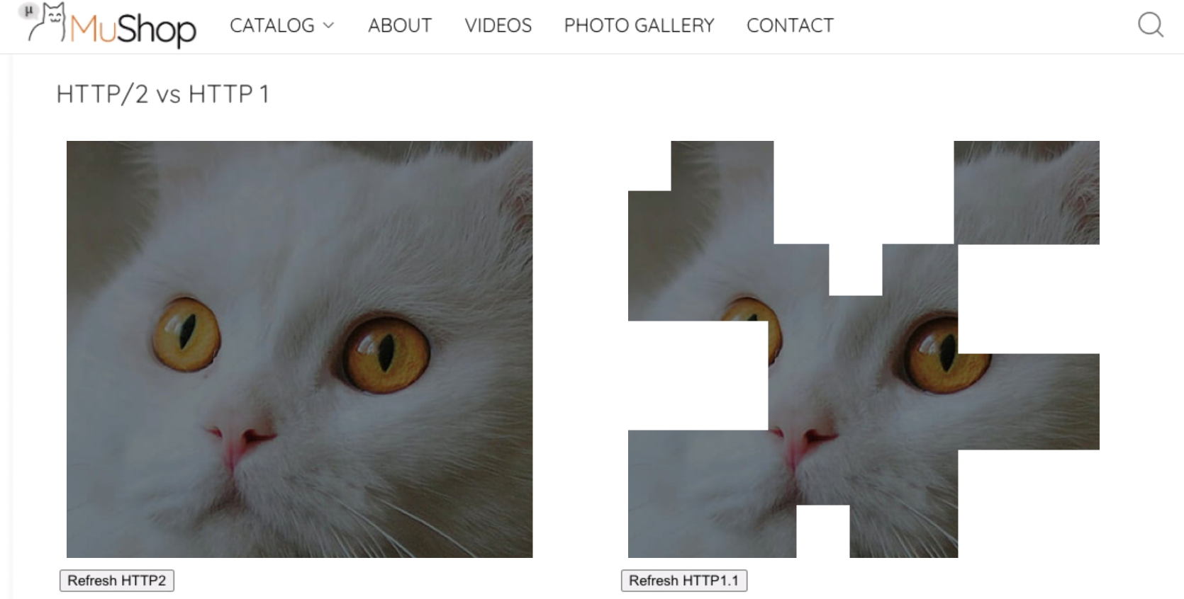 A graphic depicting the examples running HTTP/2 and HTTP1.