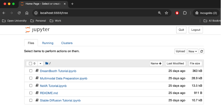 Jupyter Dreambooth tutorial