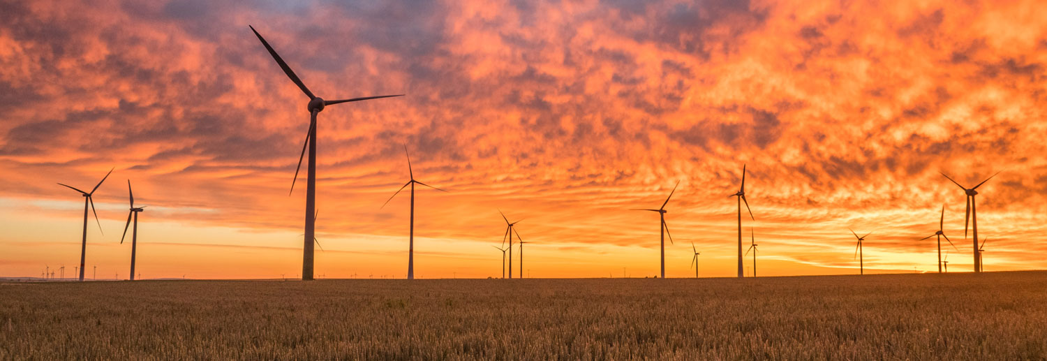 A photo of windmills at sunset