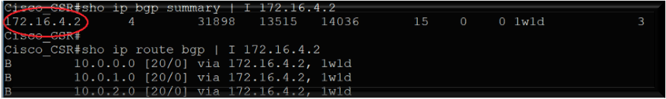 Screenshot that shows the result of pinging the Oracle DRG IP address.