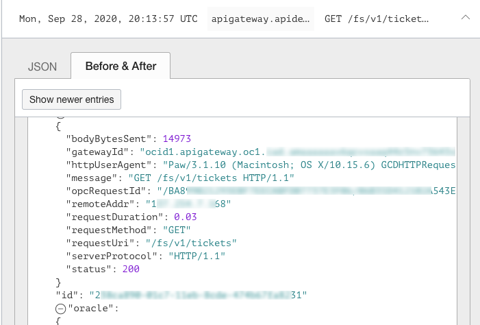 A screenshot that shows part of an access log using JSON format.