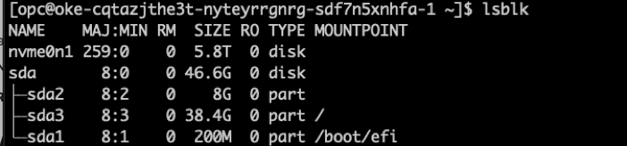 Screenshot of the command line that shows the result of running the lsblk command.