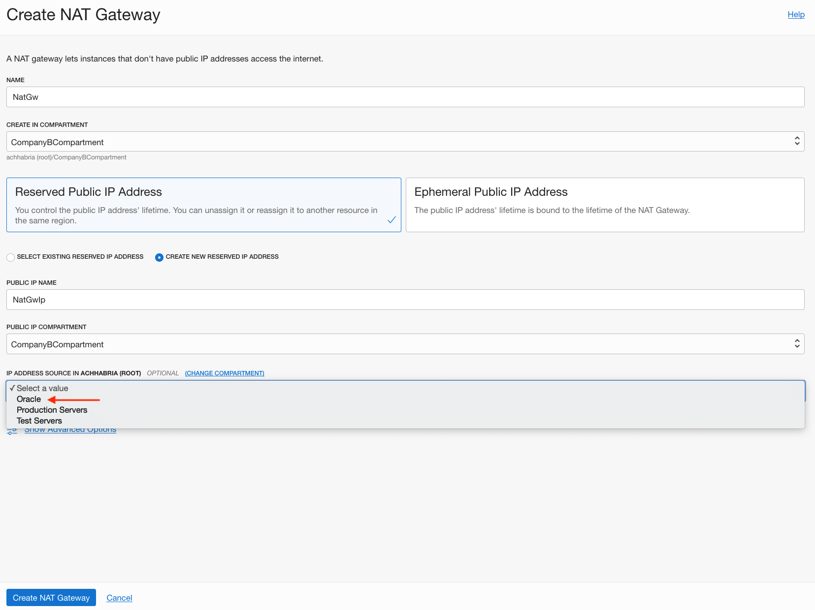 A screenshot of the Create NAT Gateway screen, showing the options for IP address sources.