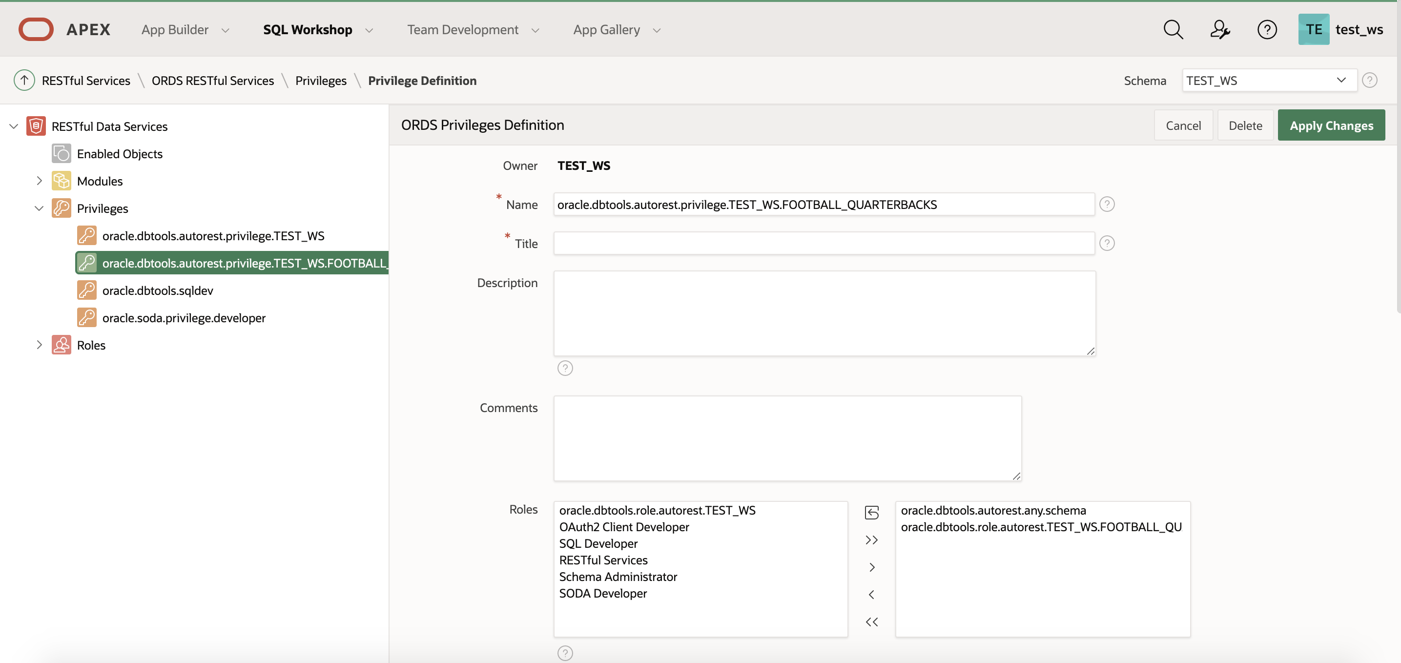 A screenshot of the example ORDS Privileges Definition.