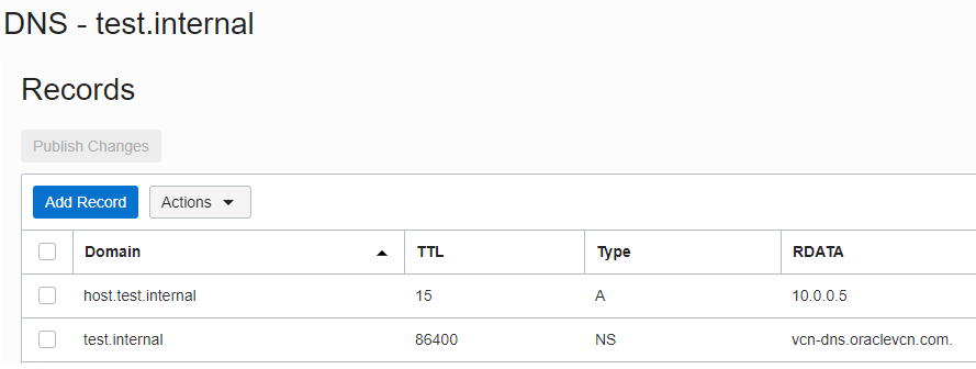 A screenshot that shows the Records list in private DNS.
