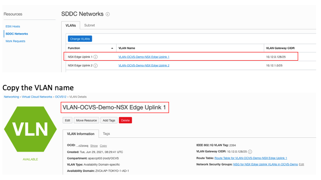 A screenshot of the SDDC Networks page with the VLAN of choice and VLAN name outlined in red.