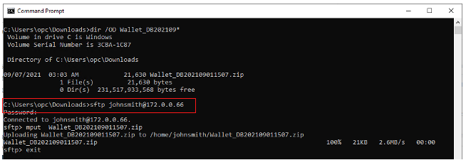 A screenshot of the command prompt window after running the code with the download location outlined in red.