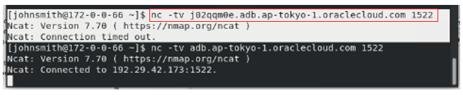 A screenshot of the code example in Cloud Shell.