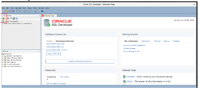 A screenshot of the Oracle SQL Developer dashboard with the plus sign outlined in red.