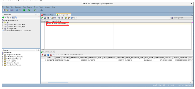 A screenshot of SQL Developer with the service gateway outlined in red.