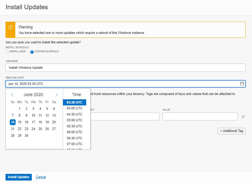 A screenshot that shows the Install Updates dialog box, with a date and time selected for a Windows update.