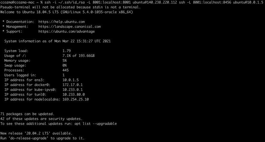A screenshot that shows the command on the command line and the result.