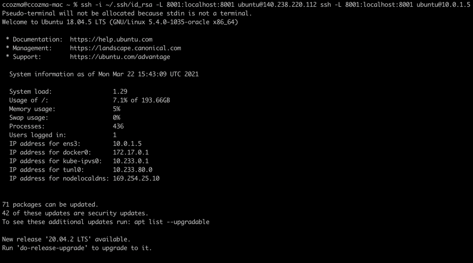 A screenshot that shows the command on the command line and the result.