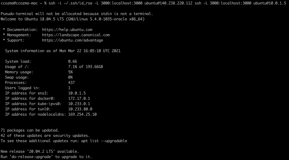 A screenshot that shows the command on the command line and the result.