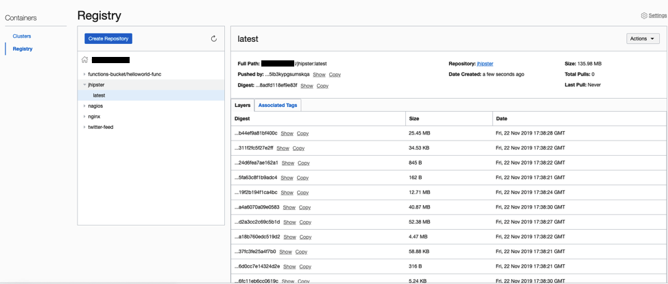 Screenshot that shows the Registry page in the Console.