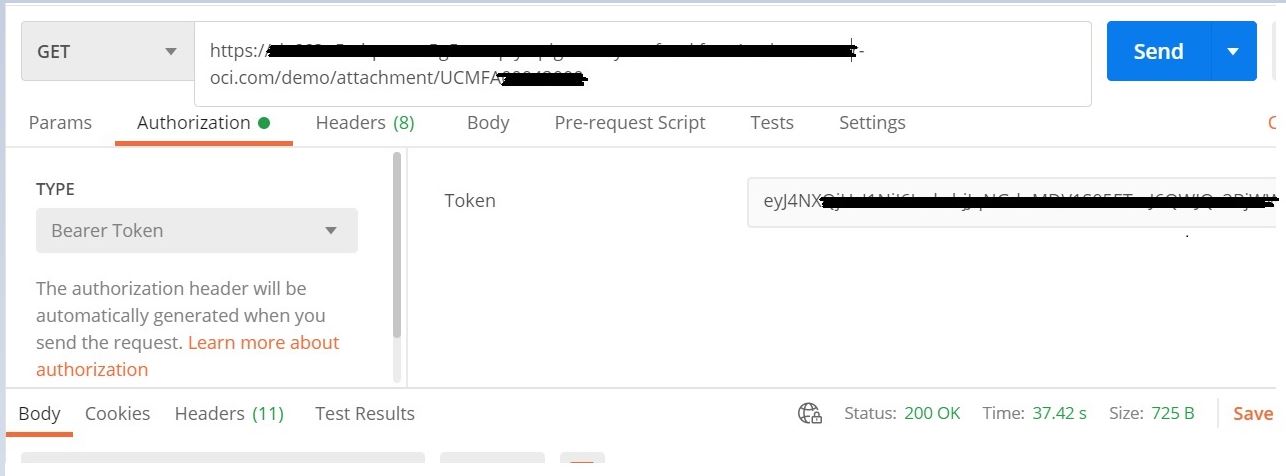 A screenshot of the authorization header, showing the bearer token.