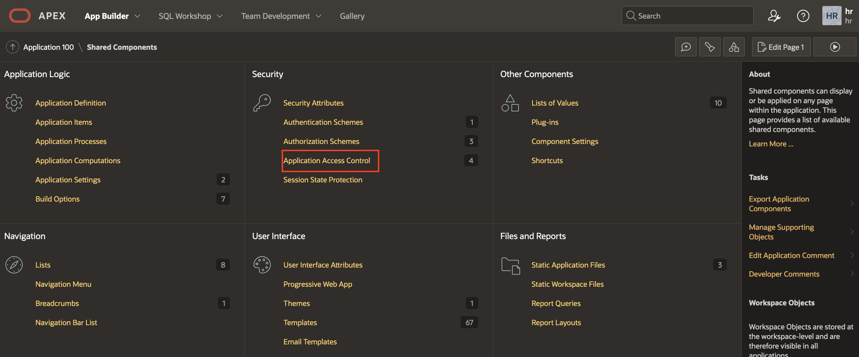 Security enforcement in multi-tier applications using Oracle RAS