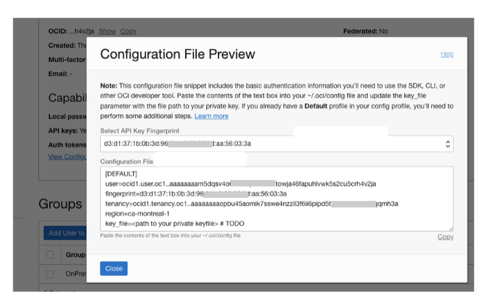 A screenshot of the Configuration File Preview window in the Console.