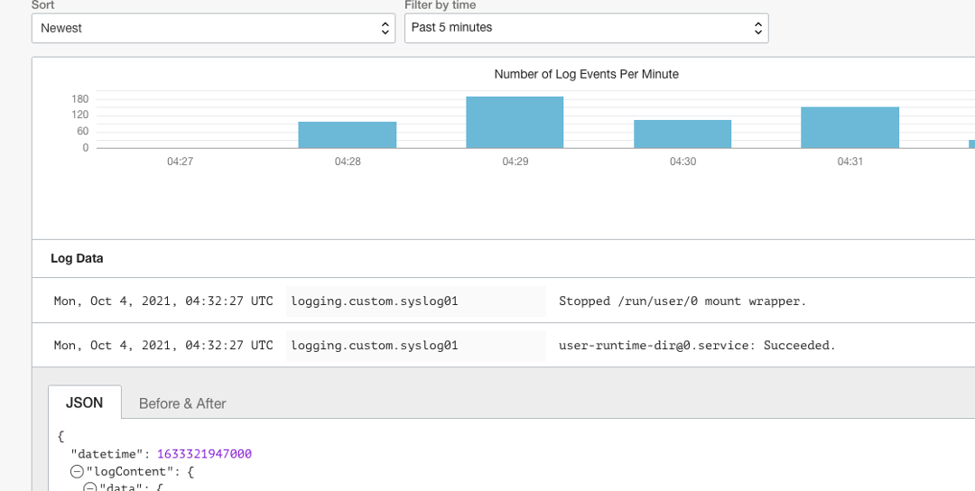 A screenshot of the log data and JSON code in the Console.