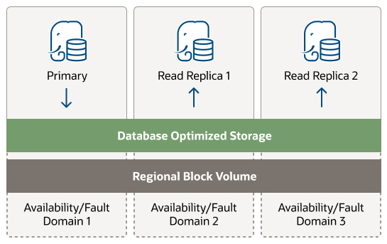 The image depicts a database architecture with three separate components. At the top, there are three icons, each representing a database instance: one labeled 'Primary' and two labeled 'Read Replica 1' and 'Read Replica 2'. Arrows point downwards from these icons to a layer labeled 'Database Optimized Storage', which indicates that all three instances interact with this layer. Below this, there's a 'Regional Block Volume' layer divided into three sections, each corresponding to a different 'Availability/Fault Domain': Domain 1, Domain 2, and Domain 3. This illustrates a high-availability setup where the primary and read replicas are supported by a storage layer that spans multiple fault domains.