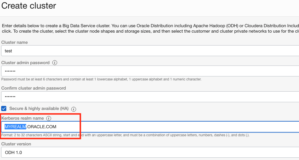 A screenshot of the Create Cluster page with the Kerberos realm name field outlined in red.
