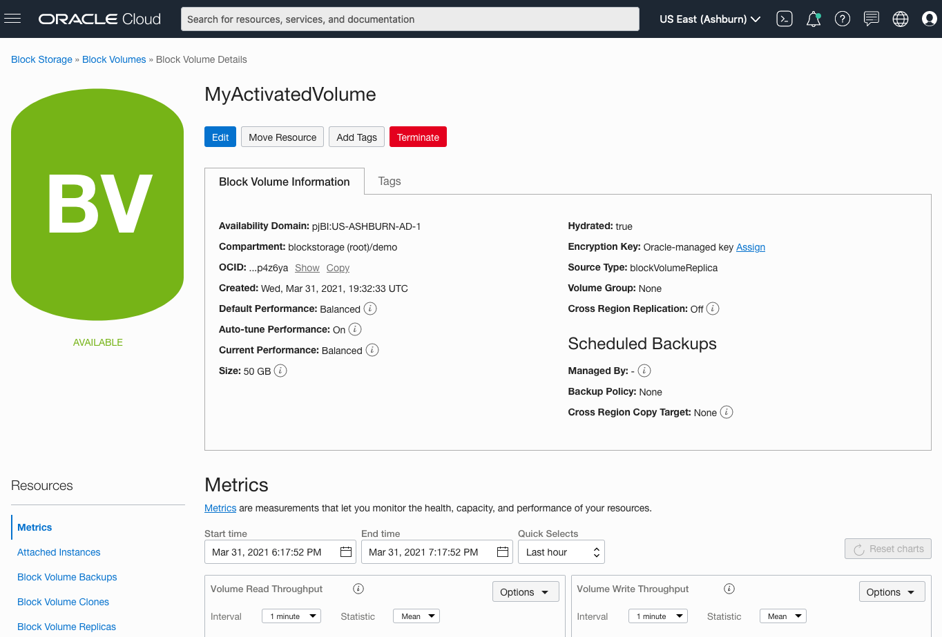 A screenshot of the activate volumes and metrics on the Block Volume Details page.
