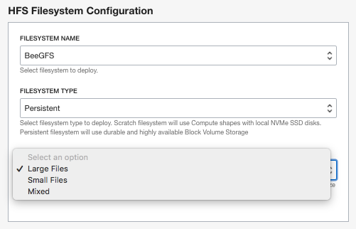 A screenshot of the HFS filesystem configuration screen.