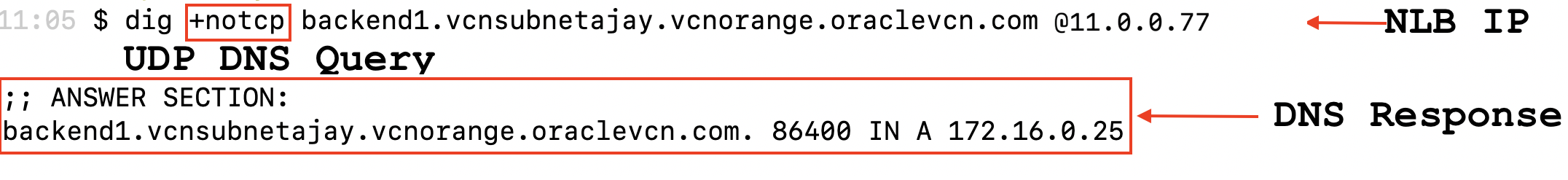 A screenshot depicting the network load balancer IP and the DNS response.
