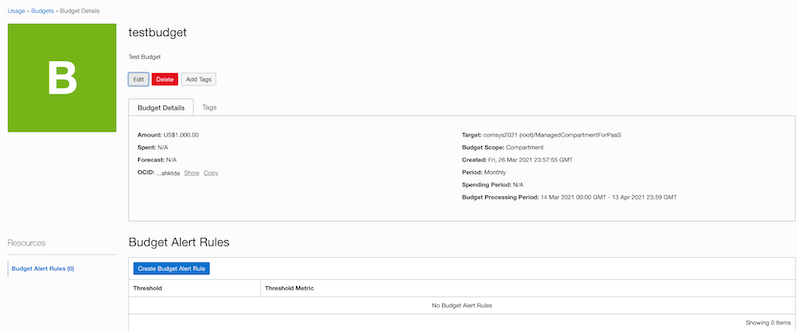 A screenshot of the details for testbudget.