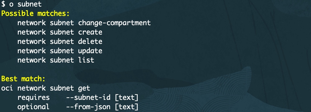 A screenshot of the output for searching subnet commands.