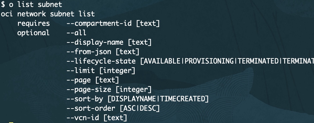 A screenshot of the output for listing subnets with o in the CLI.