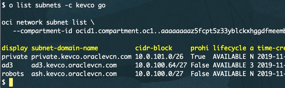A screenshot of the output for running the “go” command on a subnet.