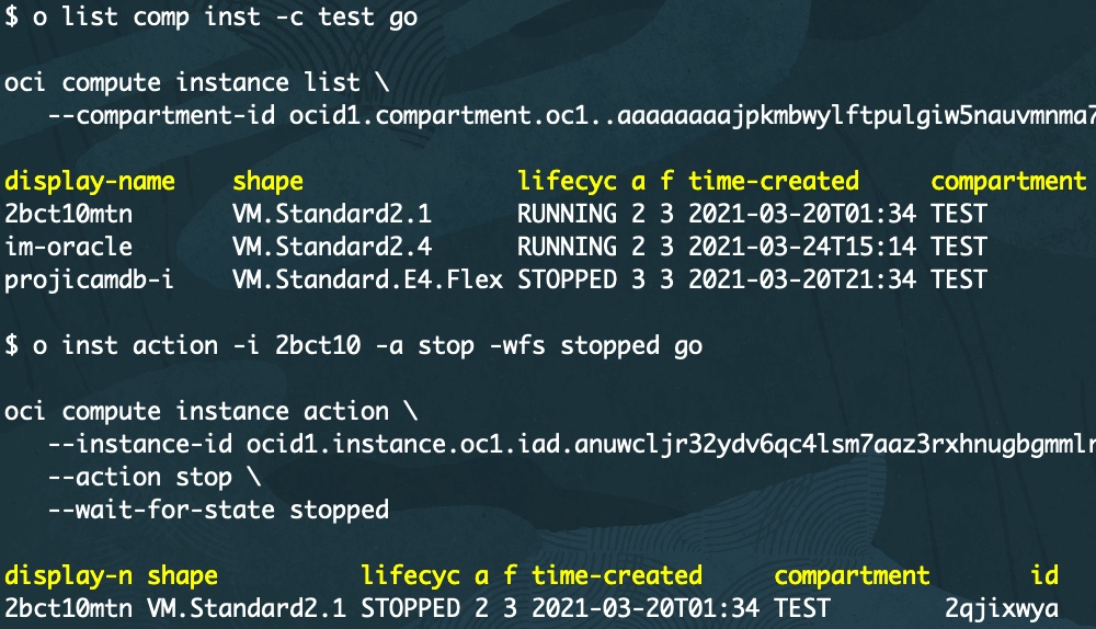 A screenshot of the output for running a STOP command on an instance.